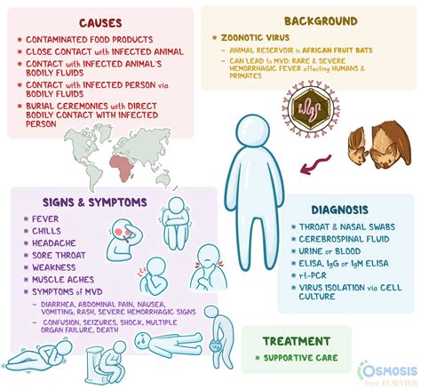 Hemorrhagic Fever Symptoms