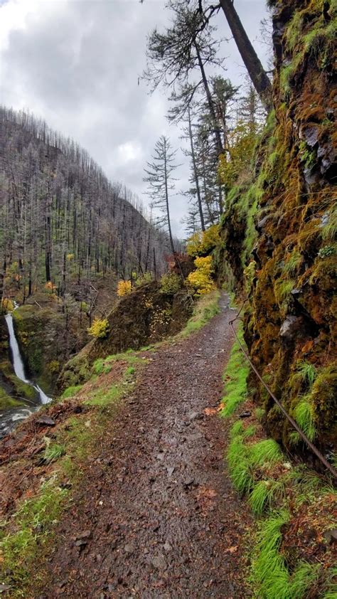 Stevens trail , Colfax CA : r/hiking