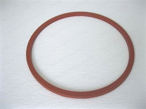Door Gasket - Autoclave Door Gasket Manufacturer from Mumbai