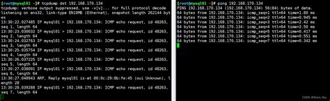 Hcpp IP Network Dump Free 的图像结果