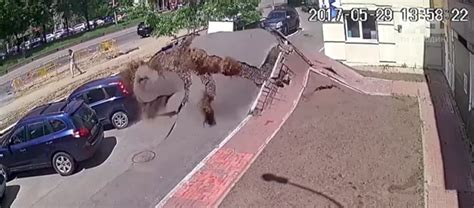 Exploding Pipe 的图像结果