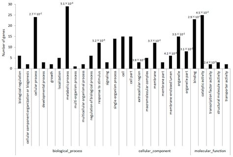 Identification of Blueberry miRNAs and Their Targets Based on High ...