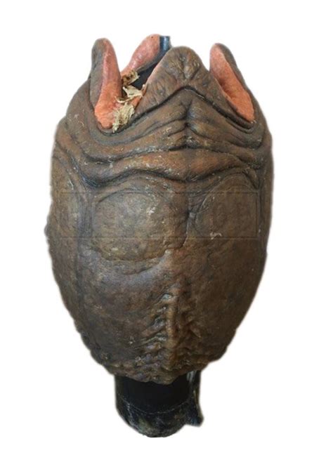 Alien vs Predator Egg Walmart 的图像结果