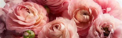 How To Send Someone Flowers In Another State at Patricia Flores blog
