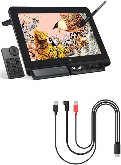XP-Pen XPPen Artist Pro 16 Gen2 2.5K 16 inch QHD Drawing India | Ubuy