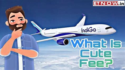 IndiGo, do you charge users for being cute? Airline responds to flyer ...
