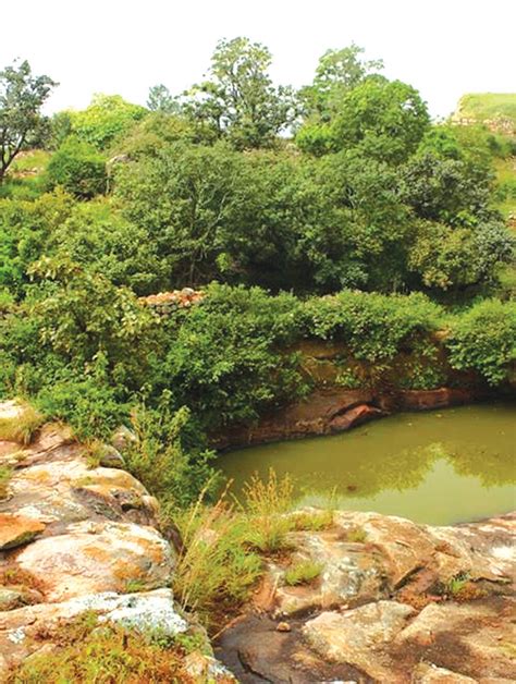 Triptease: The beauty of simplicity