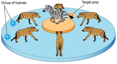 Data Collection in IoT Using UAV Based on Multi-Objective Spotted Hyena ...