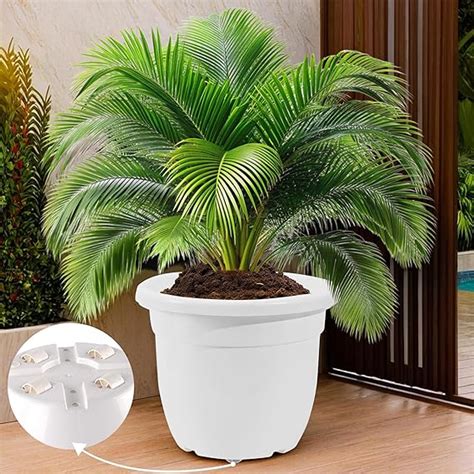 Kuber Industries 18 Inches Portable Plastic Plant Pot for Home Decor ...