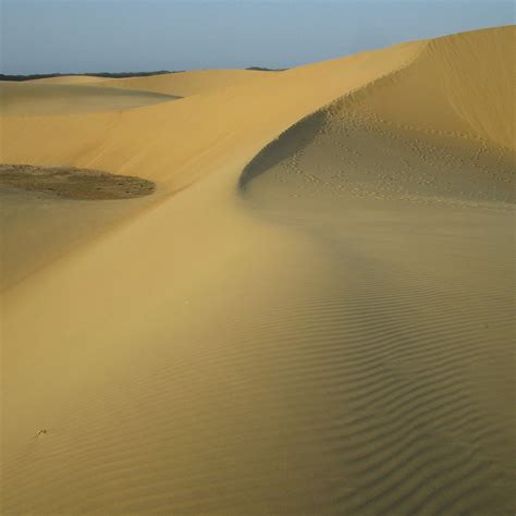 Medanos De Coro Venezuela
