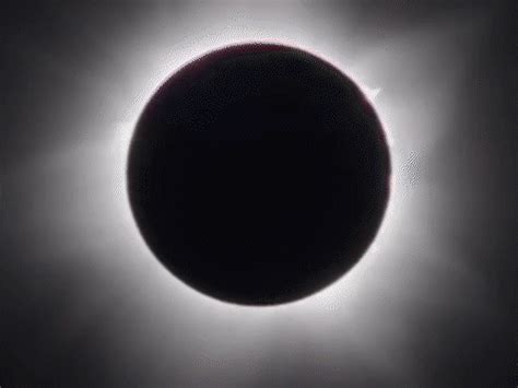 Surya Grahan Sutak 2023 India Timings Updated; Australia, East Timor ...