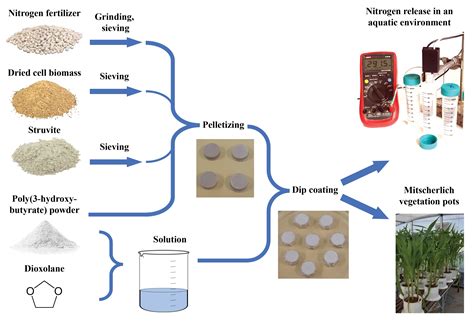 Nitrogen Fertilizer Production
