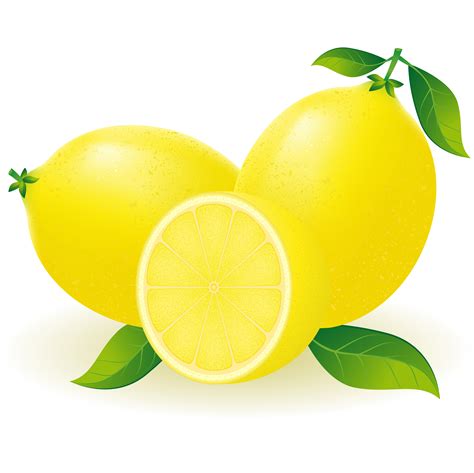 lemon vector illustration 488922 Vector Art at Vecteezy