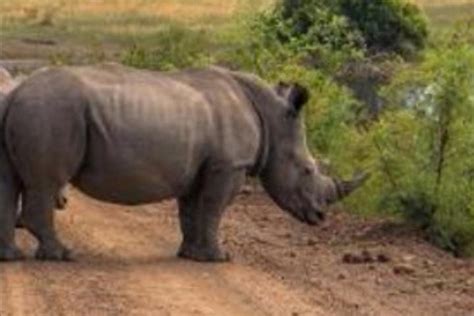 ROOKAYA ESSOP (2025) All You Need to Know BEFORE You Go (with Photos ...