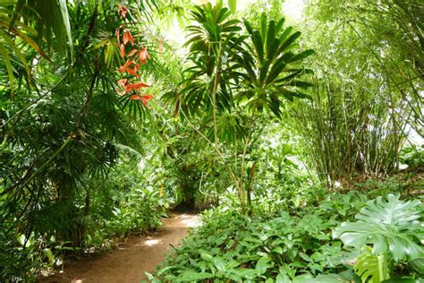 12 Places To Visit In Beruwala In 2025 That Are Ideal For Vacation