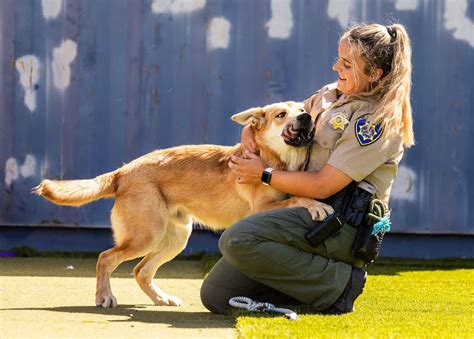 There's a New Animal Control Officer on the Block!