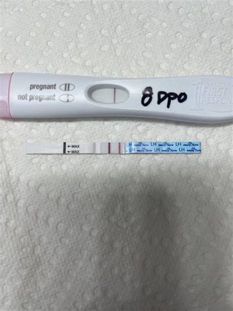 8 Dpo Positive Pregnancy Test 8 DPO Test, First Response Need