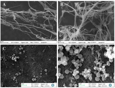 Polymers | Special Issue : Recent Advances in Molecularly Imprinted ...