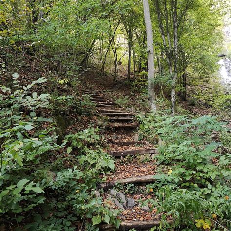 CASCADA SARITOAREA - SARITOAREA WATERFALL (Updated 2026) All You Need ...