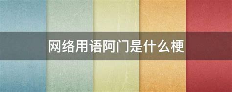 干货是什么意思网络用语，干货是什么意思？-图钉科技网