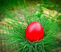 Image result for Red Easter Eggs