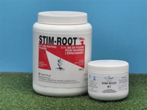 Image result for How to Use Stim Root Powder