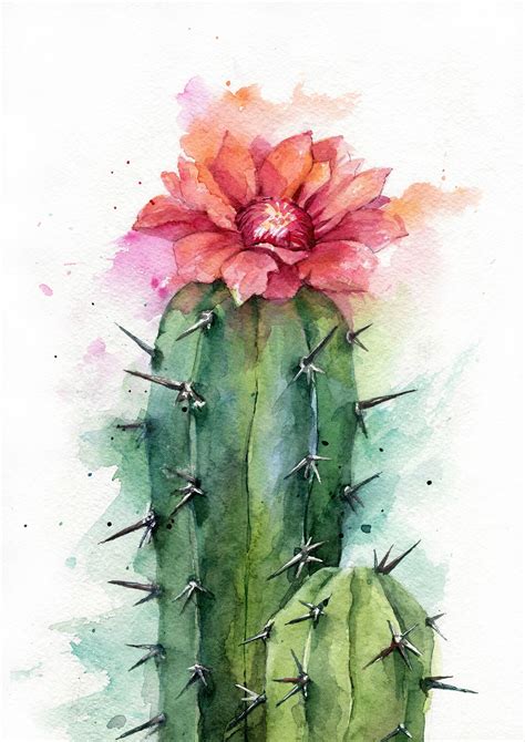 Cactus Watercolor, Pintura por Dmitriy Shvetsov | ArtMajeur by YourArt ...