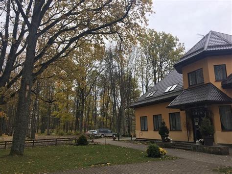 BALTU OZOLS (Lielvarde) - Guesthouse Reviews & Photos - Tripadvisor