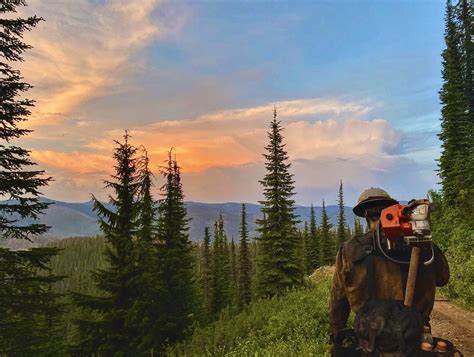 Wildland Fire Jobs - Miller Timber Services