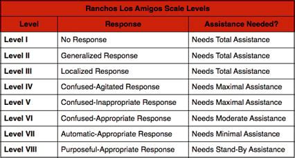 A Review of the Rancho Los Amigos Scale