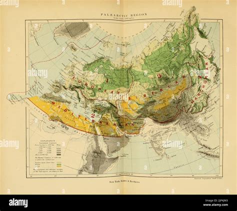 The geographical distribution of animals Stock Photo - Alamy