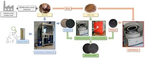 Characterization of Chemically and Physically Activated Carbons from ...
