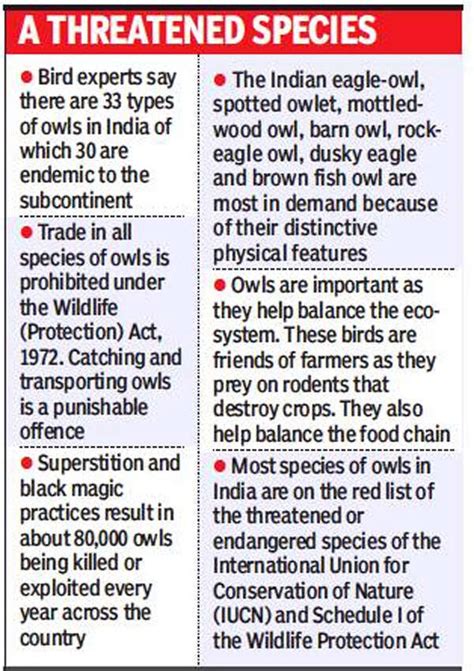 Telangana election news: As poll dance peaks in Telangana, owls ...