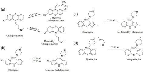 Butyl Methacrylate-Co-Ethylene Glycol Dimethacrylate Monolith for ...