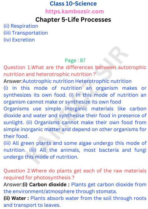 Image result for Life Process Class 5 Kind Story