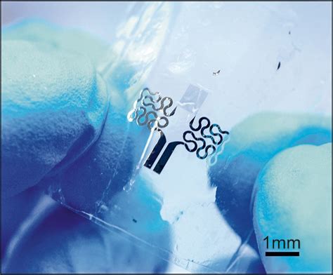 Food Level Sensor 的图像结果