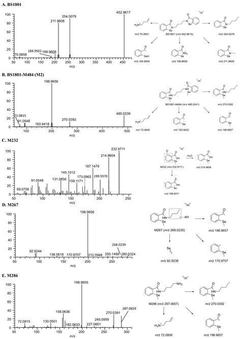 Absorption, Distribution, Metabolism, and Excretion of [14C]BS1801, a ...