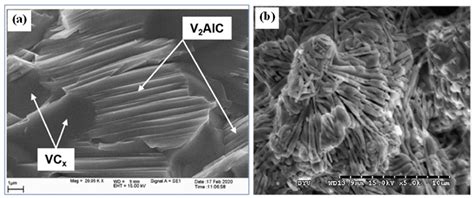 Combustion Synthesis of MAX Phases: Microstructure and Properties Inherited from the Processing ...