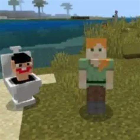 Image result for Funny Minecraft Mod