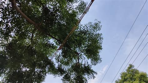 Tamil Nadu Electricity Board [TNEB] Complaints & Reviews