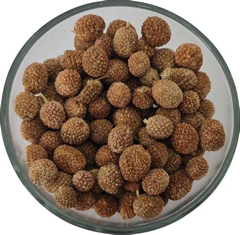 VINAYAK HERBAL Gorakh mundi seed, Gorakh mundi beej, Sphaeranthus ...
