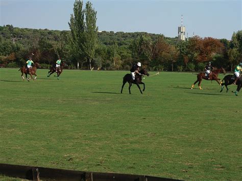 Polo | History, Rules & Equipment | Britannica