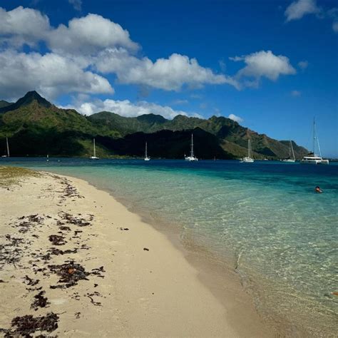 Best Time to Visit Tahiti: Seasonal Insights for Planning Your Trip - Unique Tahiti