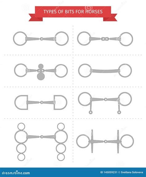 Types Of Western Bits