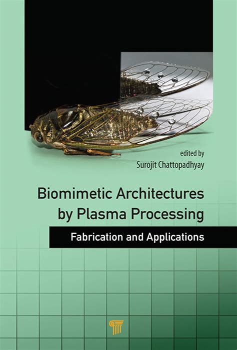 Biomimetic Architectures by Plasma Processing: Fabrication and ...