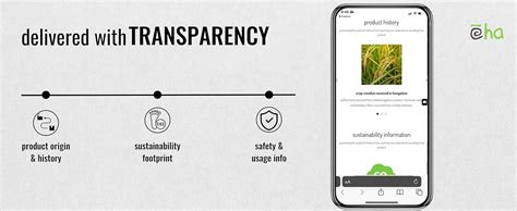 Buy Eha Earth-Friendly Soup Bowls with Spoons Set of 6 | 250 ml | Made ...