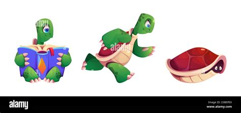 Image result for Tortoise Shell Characters