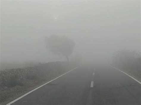 dense fog grips rajasthan intense cold alert from tomorrow days colder ...