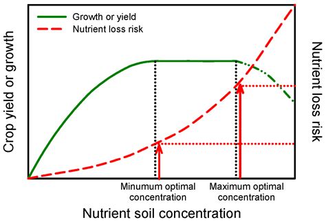 New Trends in the Fertigation Management of Irrigated Vegetable Crops