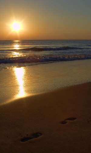 Current Obituaries - Wheeler & Woodlief Funeral Home & Cremation Service